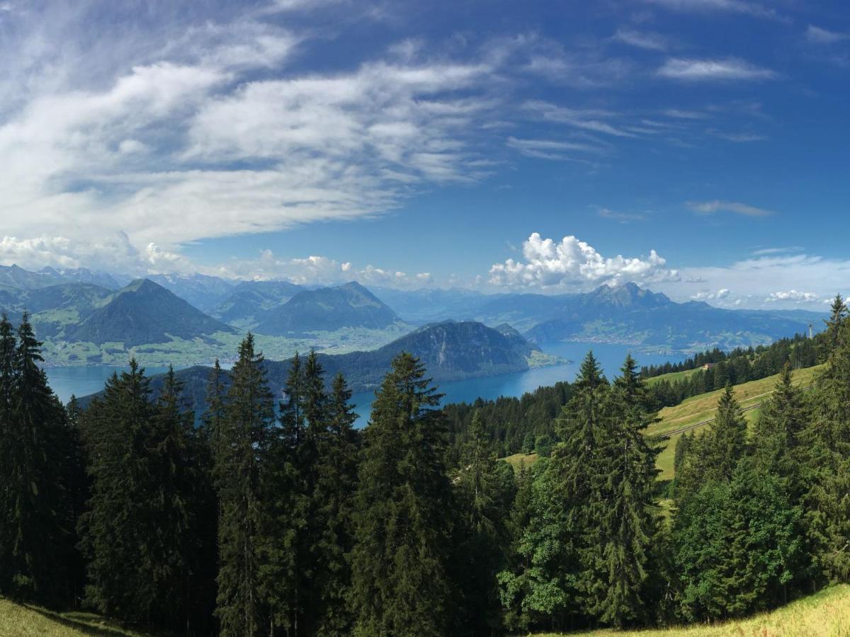 Seeblick By Interhome Appartement Weggis